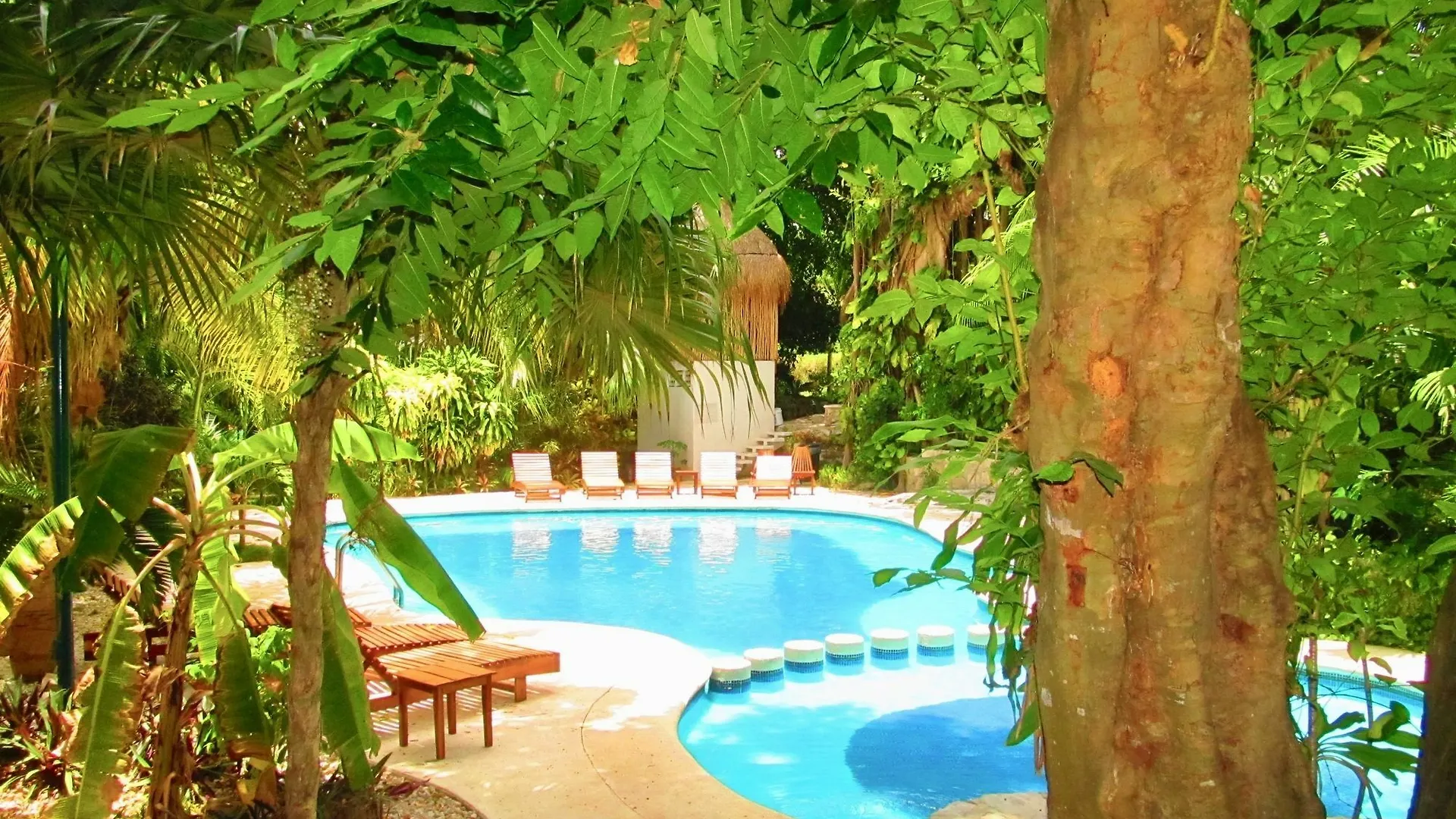 Casa Susana By Playa Paradise 普拉亚卡门
